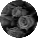 Emma Tavares simoes profile picture